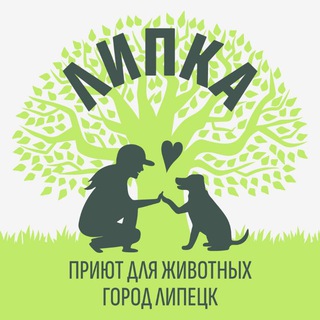 Логотип @animals_help_48 - Приют "ЛИПКА"🌿 (собаки из бывшего приюта " Счастливый берег🌊")