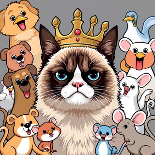 Логотип @animals_nn1 - Забавные животные