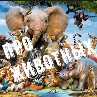 Логотип @animals_pro - ПРО ЖИВОТНЫХ