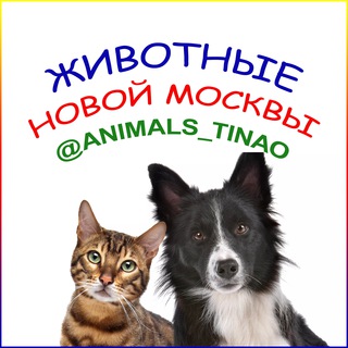 Логотип @animals_tinao - Животные Новой Москвы / ТиНАО чат