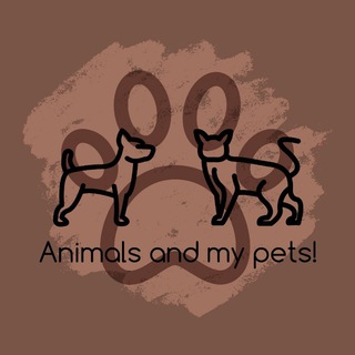 Логотип @animalsandmypets - Animals and my pets🐾