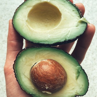 Логотип @animalsarefriends - следуй за кроликом