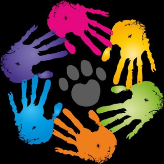 Логотип @animalslifeuz - ©️ Animal life in Uzbekistan🇺🇿