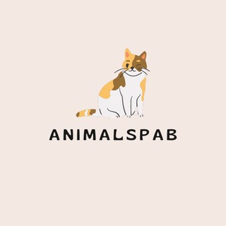 Логотип @animalspab - animalspab - блог о животных