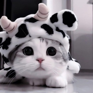 Логотип @animalss_tg - Животный Мир