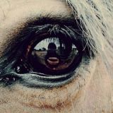 Логотип @animalssssssssssssssssssssss - Плитение из резинок и из бисера