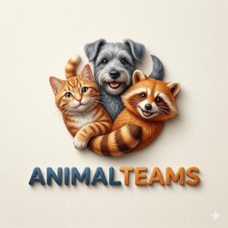 Логотип @animalteams - Funniest Animals & Amazing Nature ❤️ AnimalTeams.com 🐻‍❄️