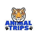 Логотип @animaltrips_shipping - Доставка животных Animal Trips