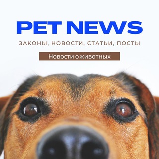 Логотип @animaltripsru - Pet News