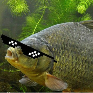 Логотип @anime_vidos - Видосики тут