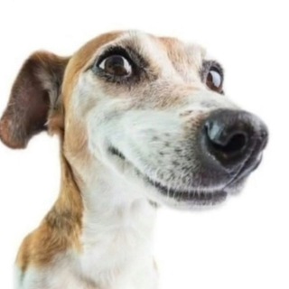 Логотип @animeandfi - Неужели полезные инструкции по фортнайту?