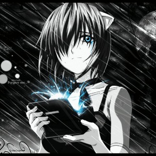 Логотип @animeborgieofficial - Anime Borgie