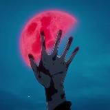 Логотип @animememes1337 - StaffWEBM