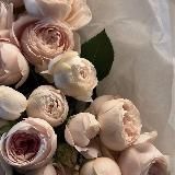 Логотип @anina_krupica - Крупица