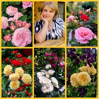 Логотип @aniutik_rose - Цветочница Анюта 🌹