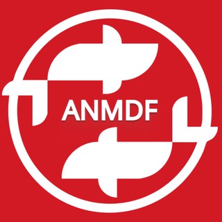 Логотип @anmdance_festival - ANM DANCE FESTIVAL