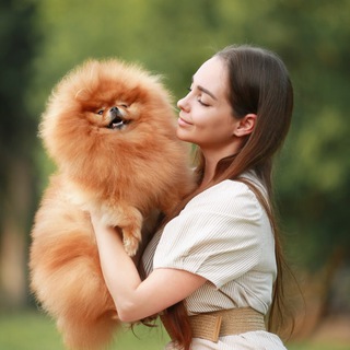 Логотип @anna_fike_pom - Питомник шпицев @Anna_fike