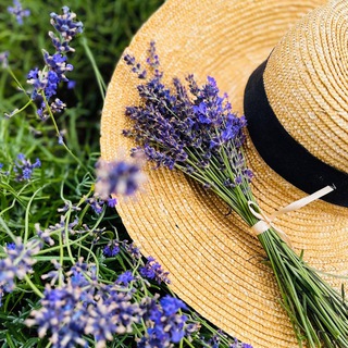 Логотип @annaorlandoit - Italian brands outlet 🇮🇹