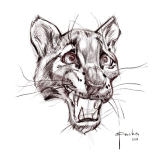 Логотип @annapacha - KARTINOCHKI🐆