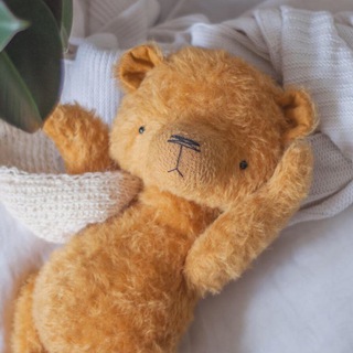 Логотип @annapaltoteddy - annapalto_teddy