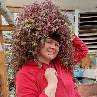 Логотип @annapirmatova - Анна Пирматова☘