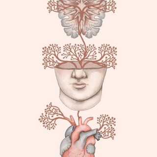 Логотип @annasdiaryy - Anna’s storage