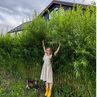 Логотип @annasochilovatl - Анна Сочилова | Рулю в сообществе МамПензы 🛠📚