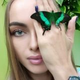 Логотип @annasukhova_astrofd - НУМЕРОЛОГИЯ