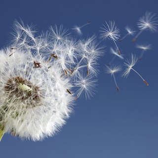 Логотип @anne_givaudan_france - 🇫🇷 Anne Givaudan et son équipe !