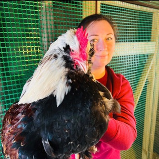 Логотип @annushka_adamova1 - Annushka_adamova