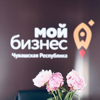 Логотип @anoapmb - МОЙ БИЗНЕС | Чувашия