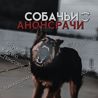 Логотип @anonsrachi_dog - собачьи анонсрачи