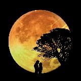 Ответы Инны Беловой