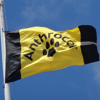 Логотип @anthrocon - Anthrocon Announcements