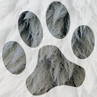 Логотип @anthrodex - Anthrodex.com Social