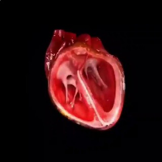 Логотип @antibiotik_pinicilin - Пенициллин