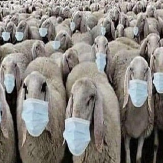 Логотип @anticensura24 - Información sin censura t.me/anticensura24