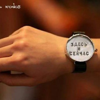 Логотип @antidoghanterperm - Станция скорой помощи для бездомных животных(ССП) "Антидогхантер Пермь"