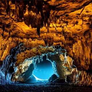 Логотип @antifomo_cave - Antifomo Cave [Тестнеты, Ретродропы]