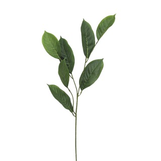 Логотип @antihruchevo - Антихрючево