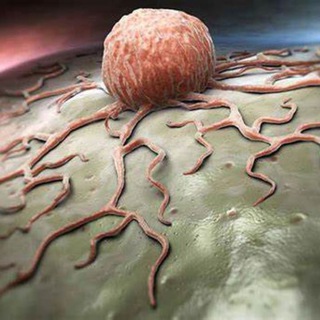 Логотип @antikandidos - ⚜️Антикандидоз