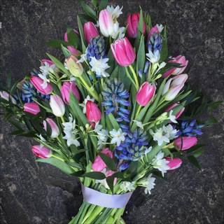 Логотип @antiscampluschat - 💐𝐀𝐧𝐭𝐢𝐬𝐜𝐚𝐦+ 𝐂𝐡𝐚𝐭💐