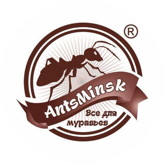 Логотип @antsminskofff - AntsMinsk | Беседа🐜