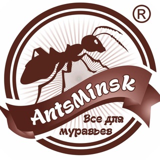 Логотип @antsminskru - AntsMinsk Official