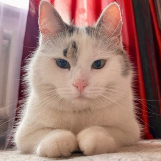 Логотип @anuka_dovaika - А-ну-ка Давай-ка