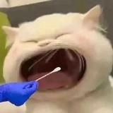 🍉吃瓜头条《新闻|搞笑|爆料》