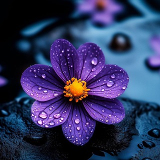 Логотип @anyaiks - Красивые фоны для сторис💜