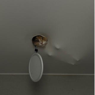 Логотип @anyamomanyaa - ANYAMOMANYA