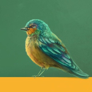 Логотип @anyret_a_k - Непонятная, но милая дичь | К.А.Терина