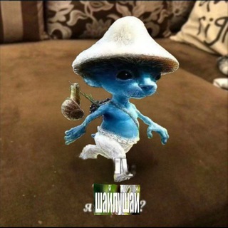 Логотип @anyshays - 💗💗biba hays💗💗